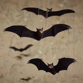 pictures of halloween bats