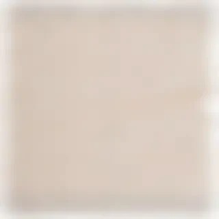 aesthetic ripped paper png