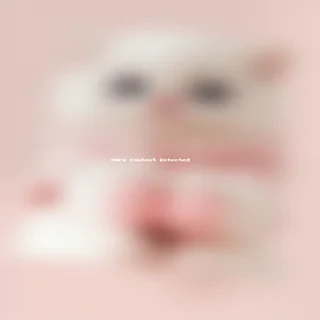 cute wallpapers for phone