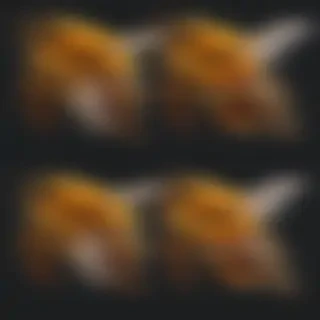 bee png