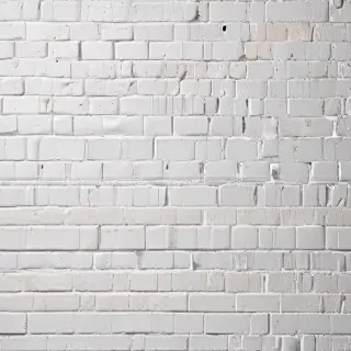 white wall paper