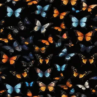 butterflies in black background