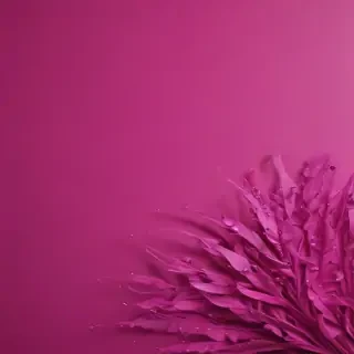 magenta background