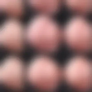 booty backgrounds