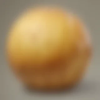 potato png