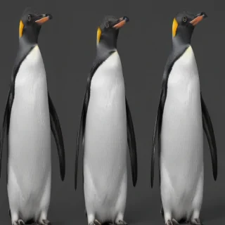 penguin background