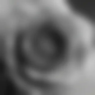 thank you in black and white