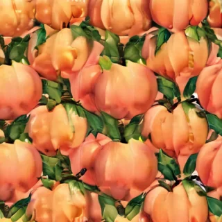 peach background wallpaper