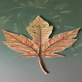 leaf doodle