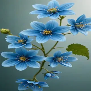 blue flowers transparent