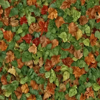 leaves no background