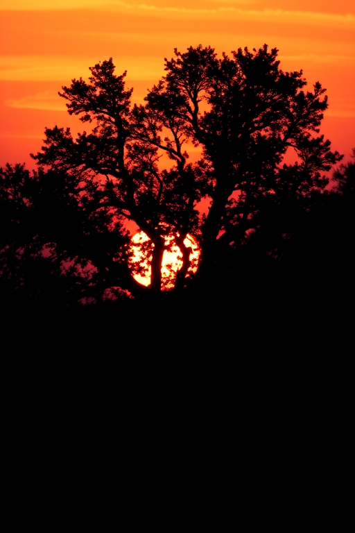 Create an abstract black silhouette of a tree against a vibrant sunset background with warm hues of orange, pink, and purple, taken with a DSLR camera, f/8 aperture, ISO 100, 50mm lens, and a wide-angle view to enhance the landscape.