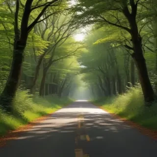 country road