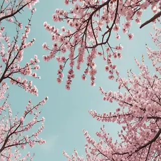 spring aesthetic desktop wallpaper