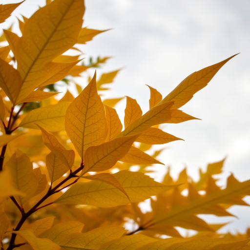 Capture a close-up view of yellow and green autumn leaves against a soft, cloudy sky, using a DSLR camera with a 50mm lens, aperture f/1.8, shutter speed 1/200, ISO 100, and natural light for enhanced detail and richness in color.