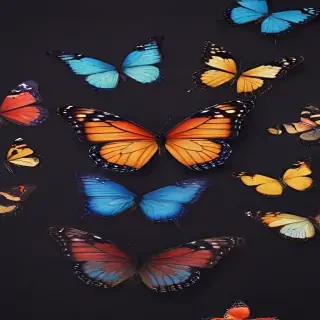 background images of butterfly