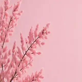 pastel pink aesthetic wallpaper