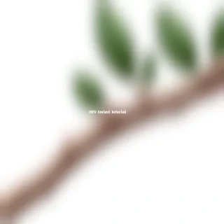 tree branch png