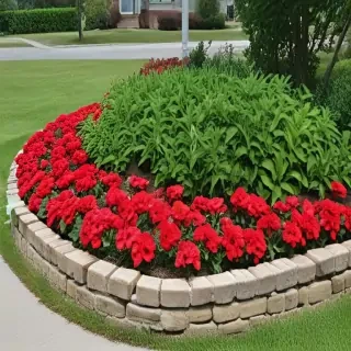 flower bed