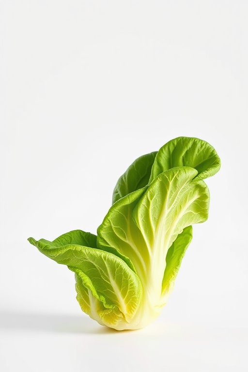 Create a high-resolution image of a fresh romaine lettuce against a clean white background, using a 50mm lens at f/2.8, ISO 100, with soft natural lighting from the left and a shallow depth of field to enhance detail and texture.