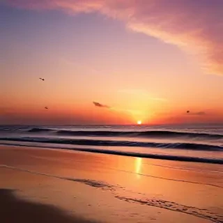 sunset on the beach backgrounds