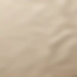 wrinkled paper overlay