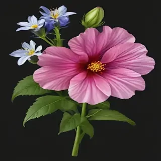 wild flower png