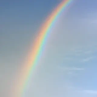 rainbow transparent