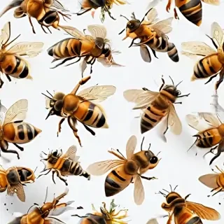 bees png
