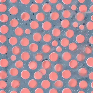 polka dots transparent