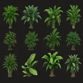 plants no background