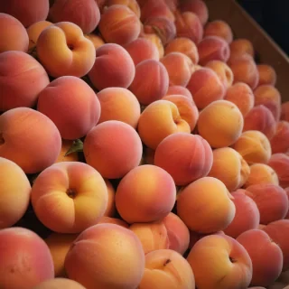 peaches background