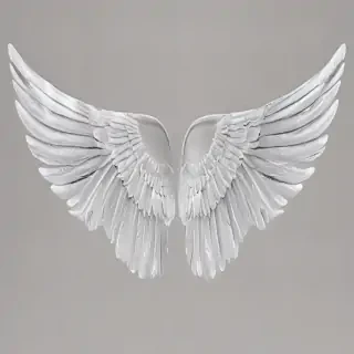 wings transparent
