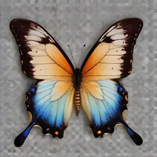 butterfly png transparent