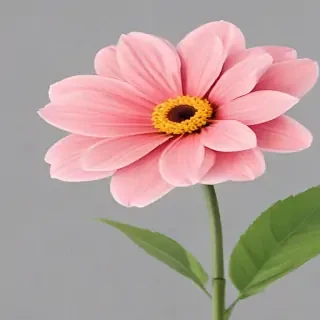 flower background transparent