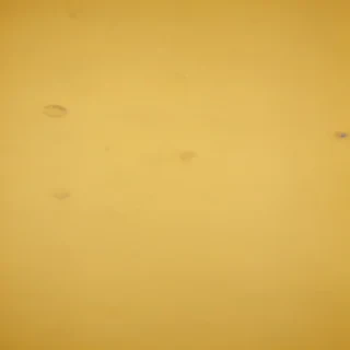 plain yellow background