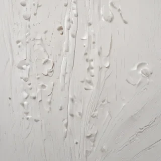 background wood white