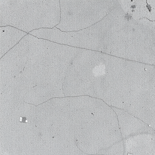 Create a high-resolution abstract texture resembling a weathered, monochromatic surface shot with a DSLR camera, 50mm lens, f/8 aperture, ISO 100, and natural lighting.