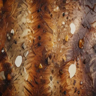 sticker texture