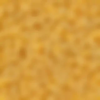 macaroni and cheese png