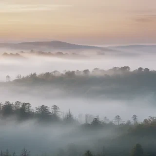fog transparent background