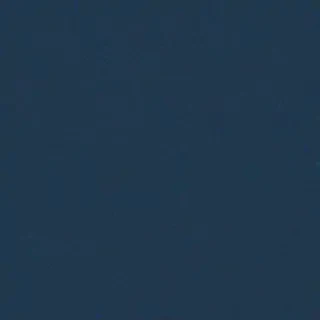 light navy blue background