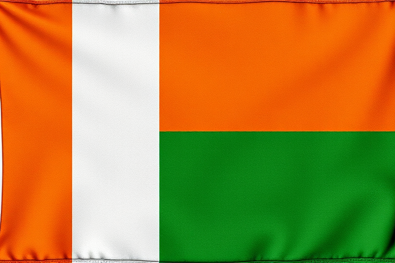 regenerate an image of a textured flag with vertical stripes of orange, white, and green, with a grunge effect, using a DSLR camera, aperture f/8, shutter speed 1/125 sec, ISO 100, taken from a frontal view with natural lighting