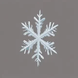 snow flake png