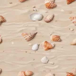seashell png