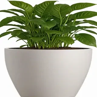 flower pot png
