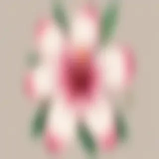 flower png clip art