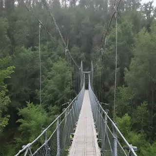 suspension bridge