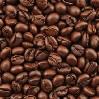 coffee bean png