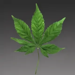 weed leaf png